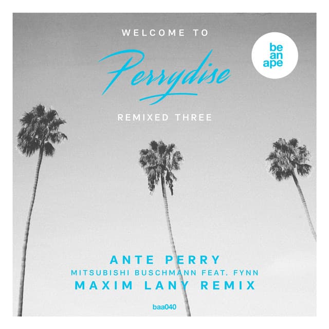 Mitsubishi Buschmann - Maxim Lany Remix cover art