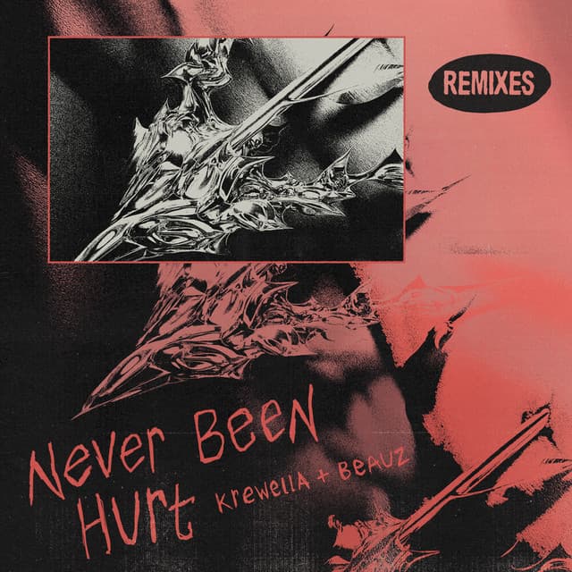 Never Been Hurt - Static Angel Remix cover art