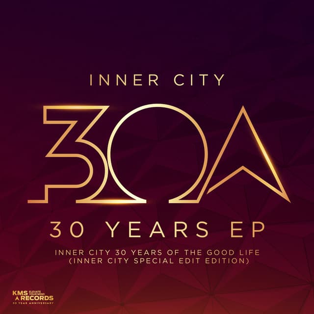 Big Fun - Inner City Edit of House Of Virus Remix cover art