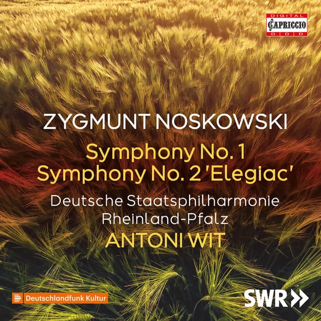 Symphony No. 2 in C Minor "Elegijna": I. Elegijna. Moderato mysterioso cover art