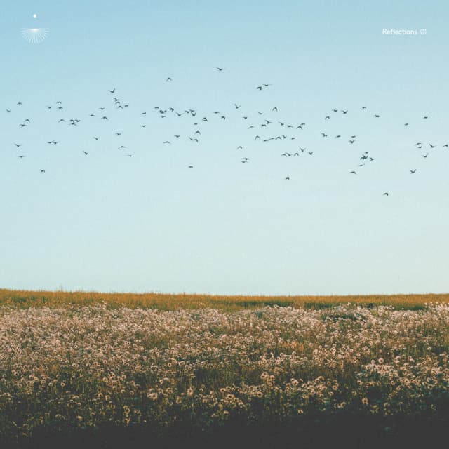 Ashes cover art