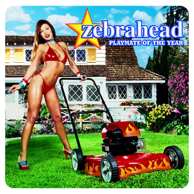 Playmate Of The Year cover art