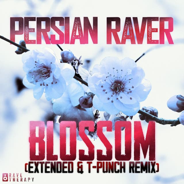 Blossom (T-Punch Summer Edit) cover art