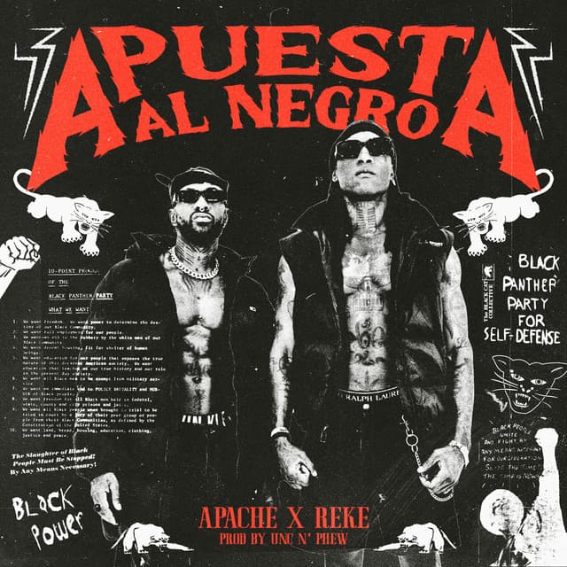 N.E.R cover art
