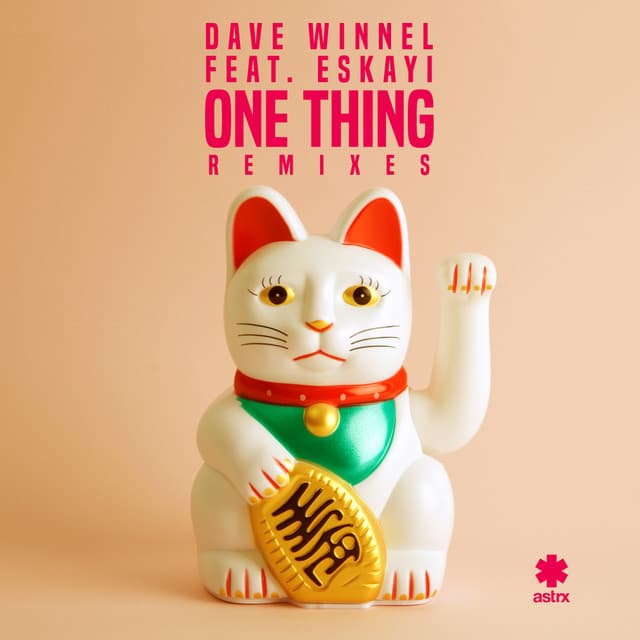 One Thing - Otosan Remix cover art