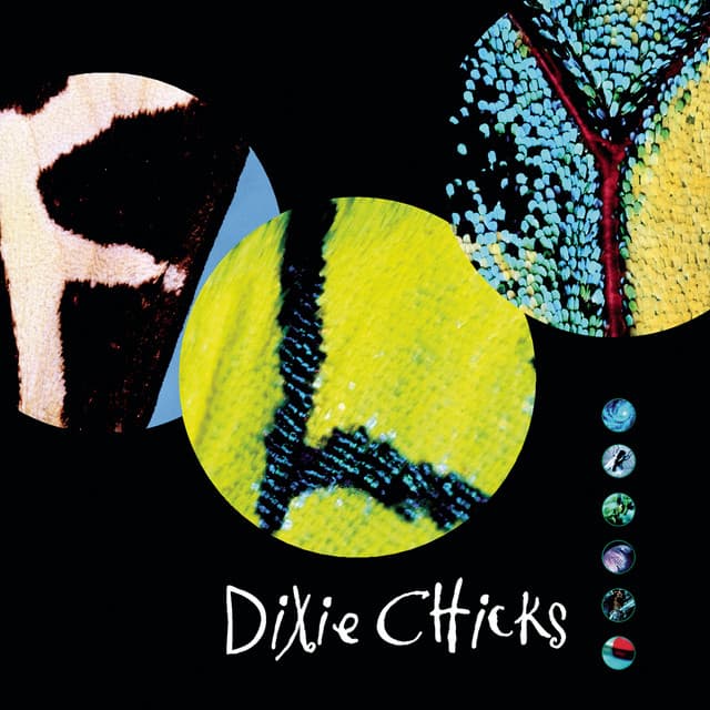 Fly cover art