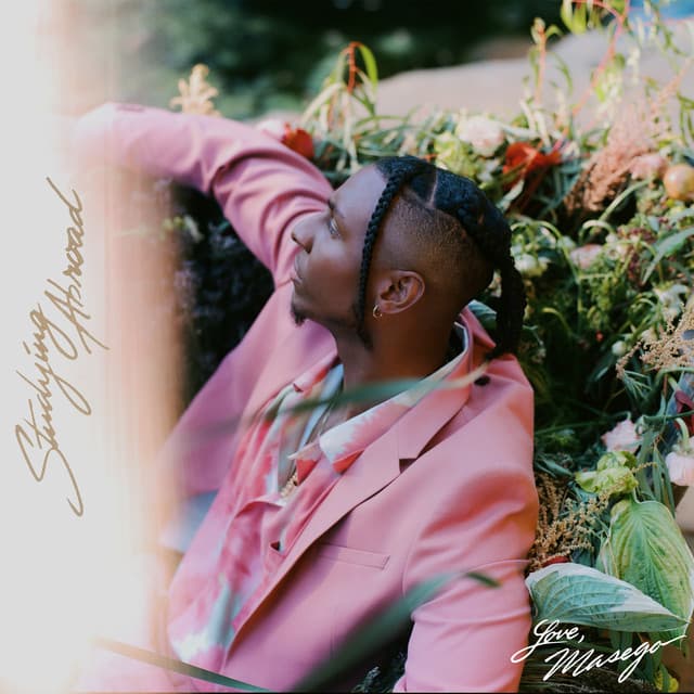 Mystery Lady (feat. Don Toliver) cover art