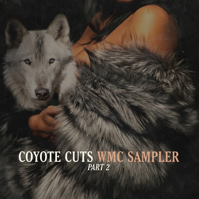 Another Shot cover art