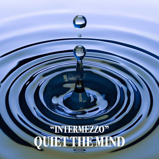 Concerto in D Minor: II. Adagio cover art