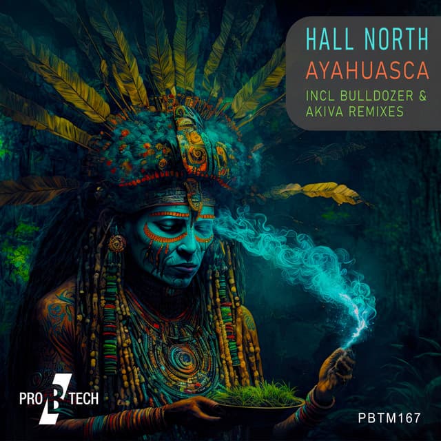 Ayahuasca - AKIVA's NOVA Remix cover art