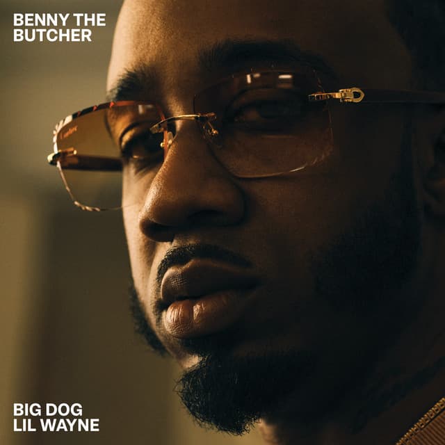 Big Dog (with Lil Wayne) cover art