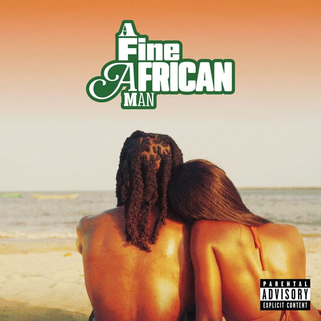 A Fine African Man cover art
