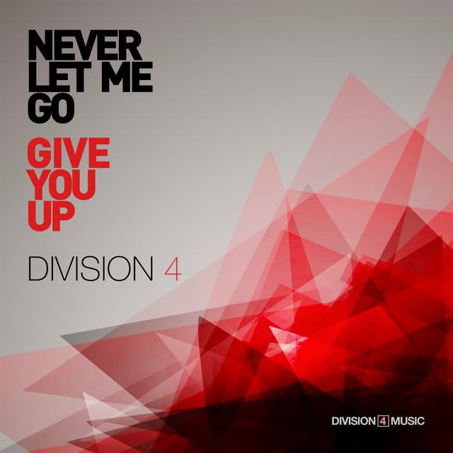 Never Let Me Go - Raw Voltage Dub cover art