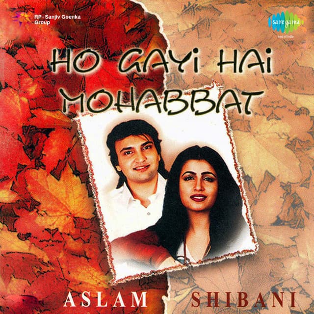 Ho Gayi Hai Mohabbat Aslam And Shibani cover art