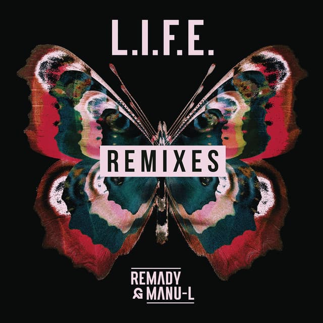 L.I.F.E. - I.GOT.U Remix cover art