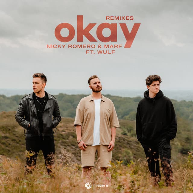 Okay - Stadiumx Remix cover art