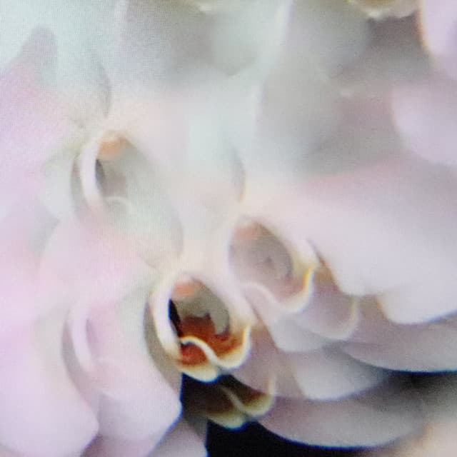 Technicolor - Silent Servant Remix cover art