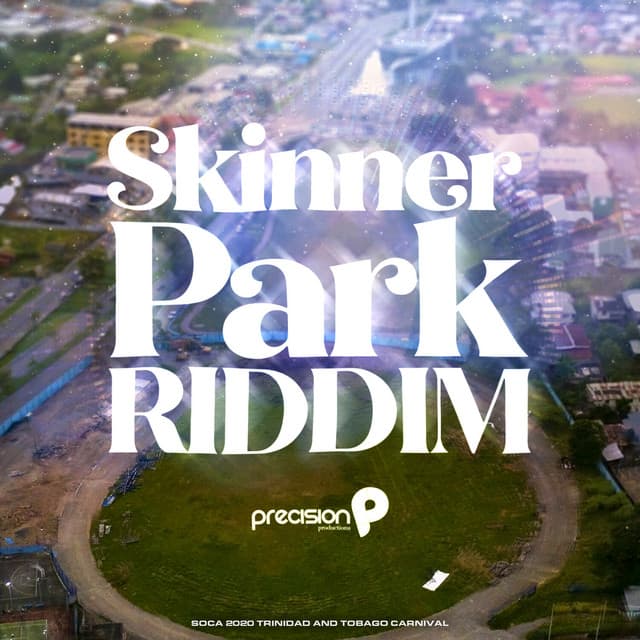 Skinner Park cover art
