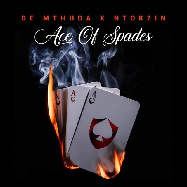 uMsholozi cover art
