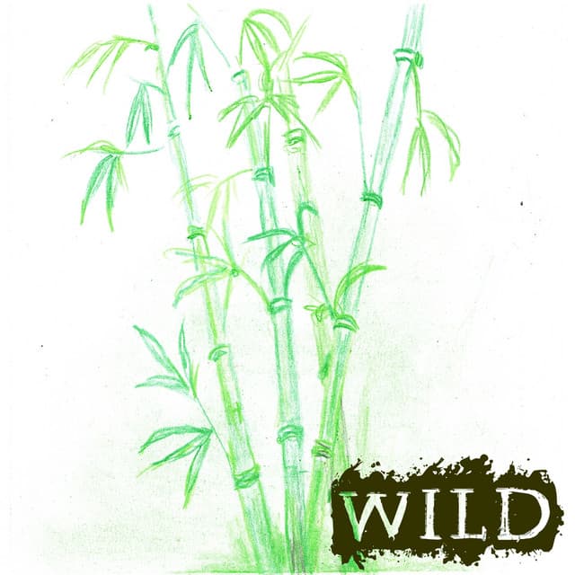 Wild cover art