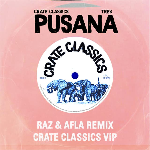 Pusana - Raz & Afla Remix cover art