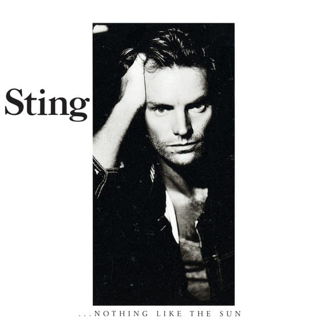 ...Nothing Like The Sun cover art