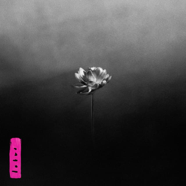 Lotus cover art