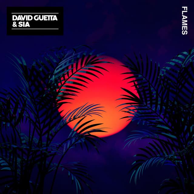 Flames cover art