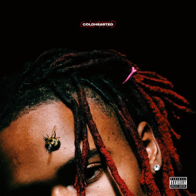Stupid cover art