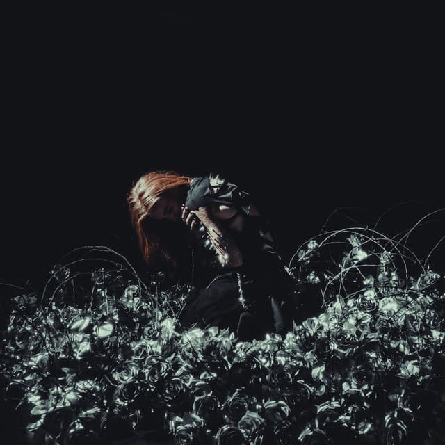 THE END cover art