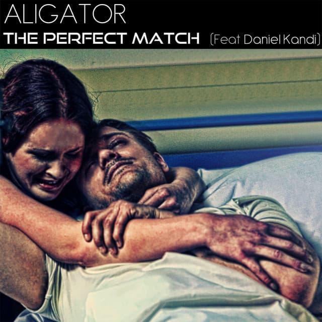The Perfect Match - Dennis Pedersen Remix cover art