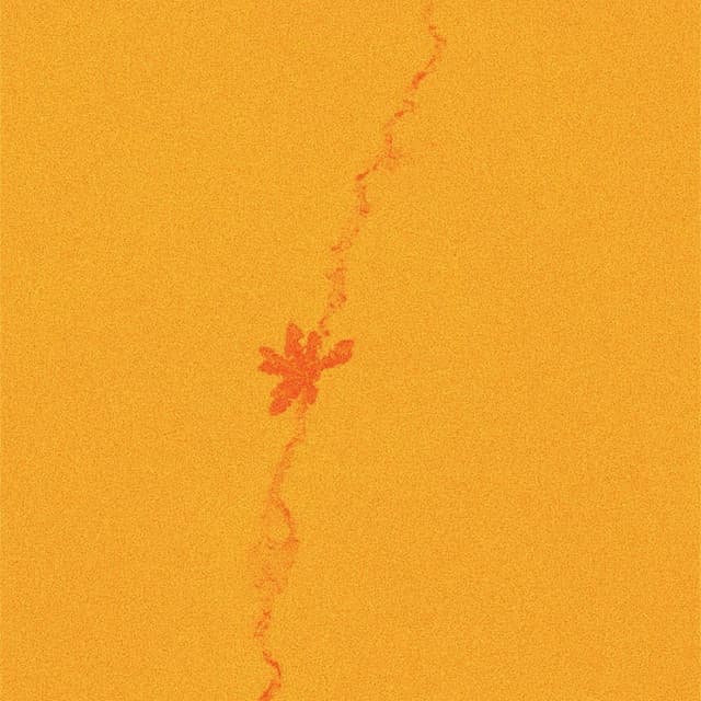 rains cover art