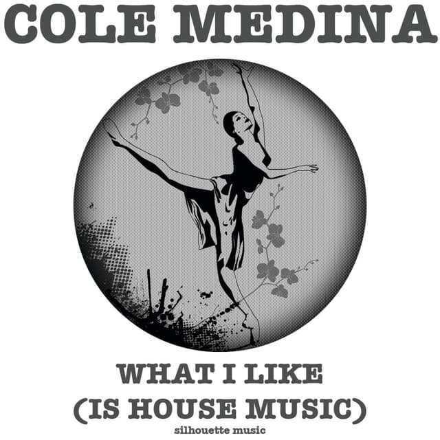 What I Like (Is House Music) - Reinoud Van Toledo Remix cover art