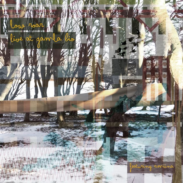 Live at Gamla Bíó cover art