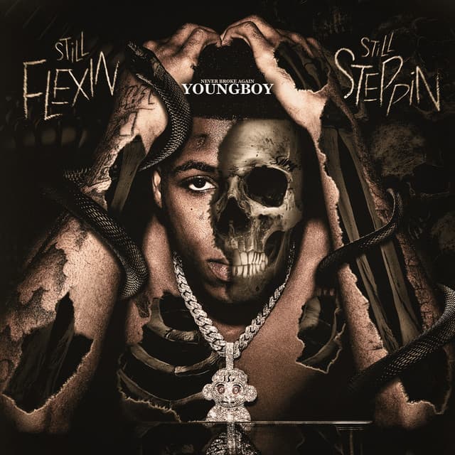 Still Flexin, Still Steppin cover art