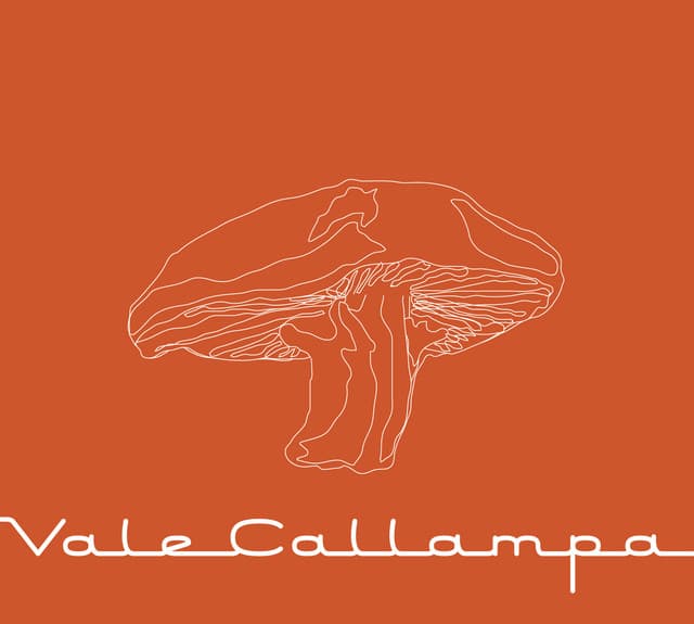 Vale Callampa cover art