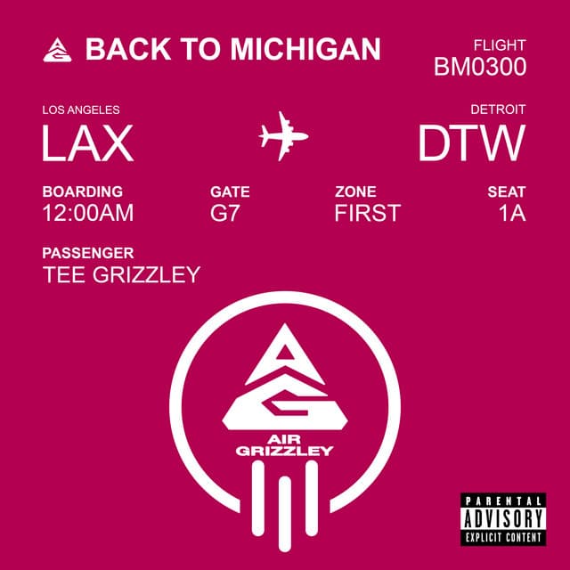 Back To Michigan cover art
