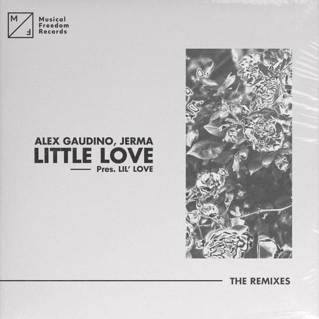 Little Love (pres. Lil' Love) - Alex Gaudino & Hiisak Extended Remix cover art