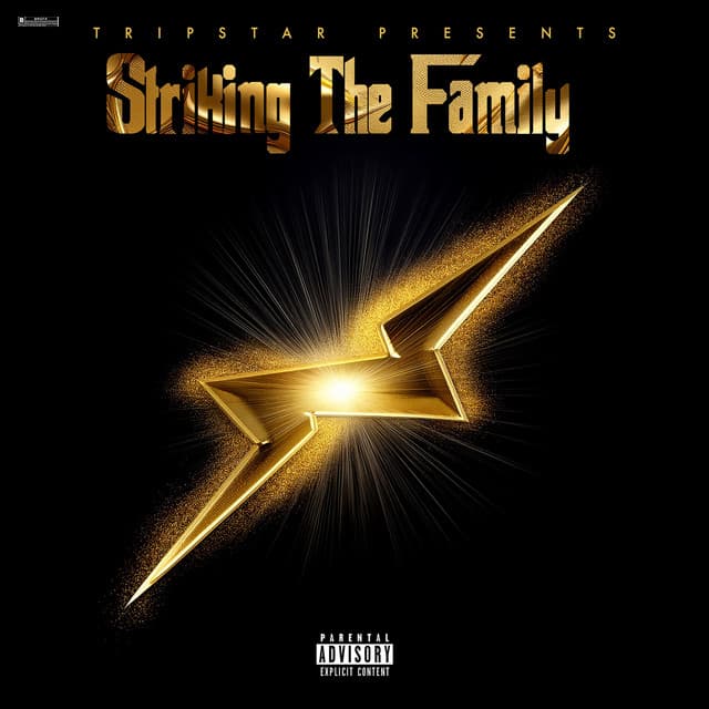 STRIKING THE FAMILY cover art