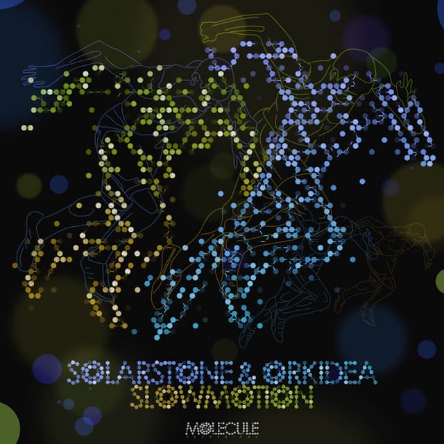 Slowmotion - Lowland Remix cover art