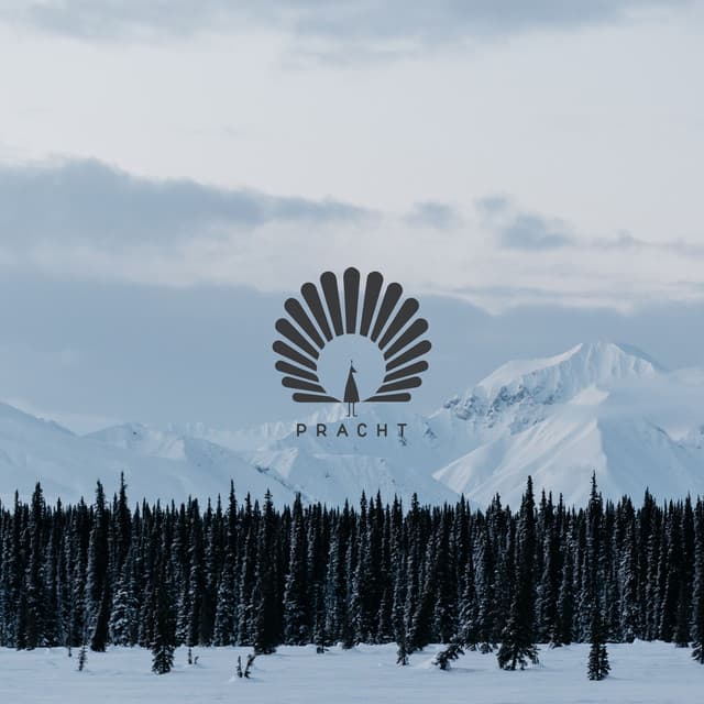 Rampart cover art