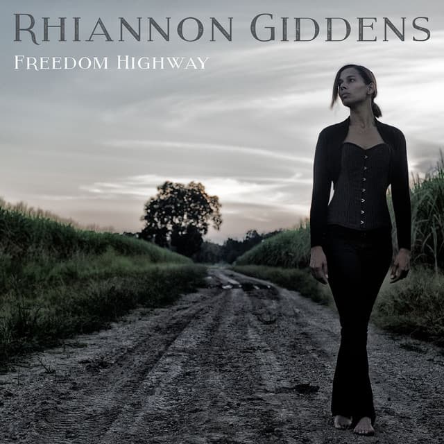 Freedom Highway (feat. Bhi Bhiman) cover art