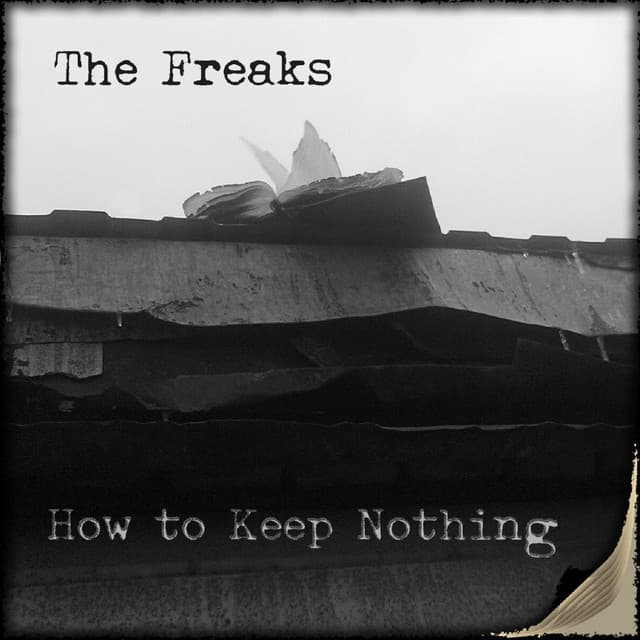 Manual cover art