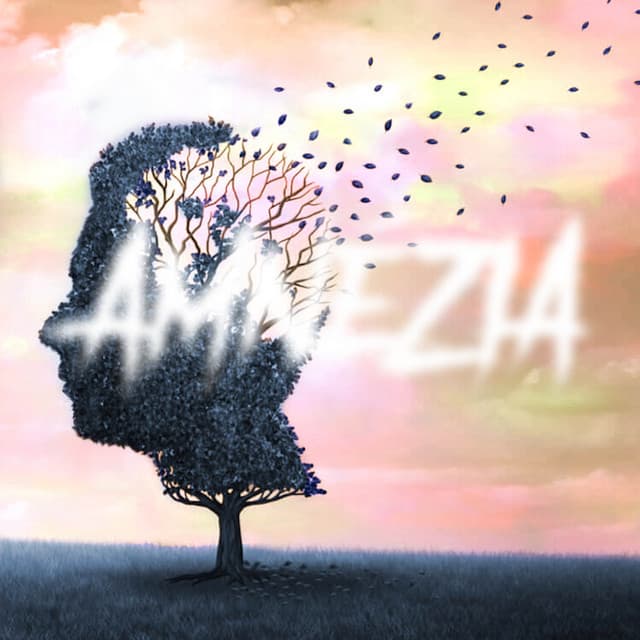 JIMMY trip cover art