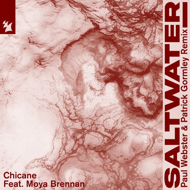 Saltwater (Paul Webster & Patrick Gormley Remix) cover art