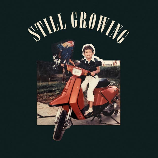 A Fool Getting Older cover art