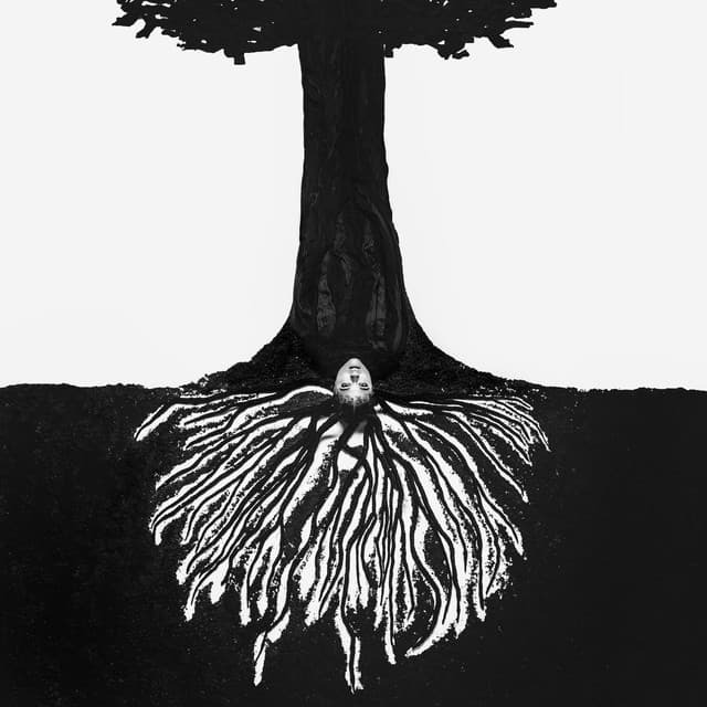 Deeply Rooted cover art