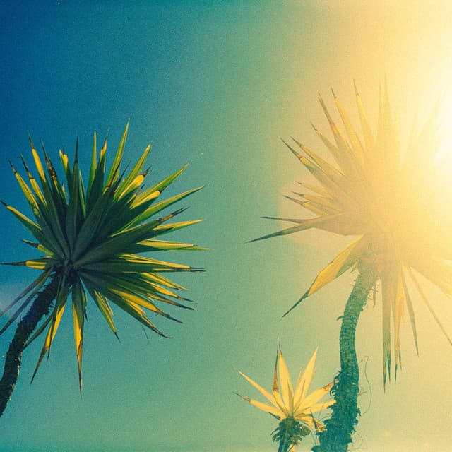 Solana cover art
