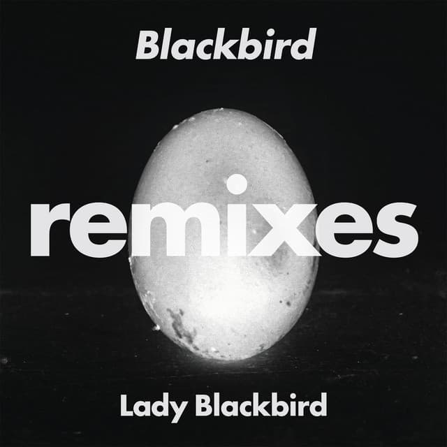 Blackbird - Foremost Poets Adventure Mix cover art