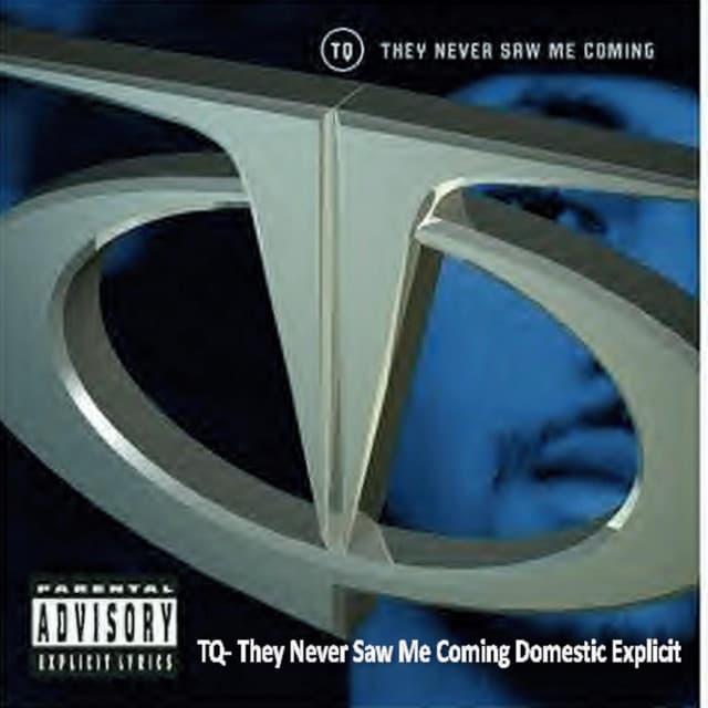 Tq They Never Saw Me Coming Domestic Explicit cover art